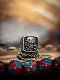 The Golden Age of Piracy, The Ring Series