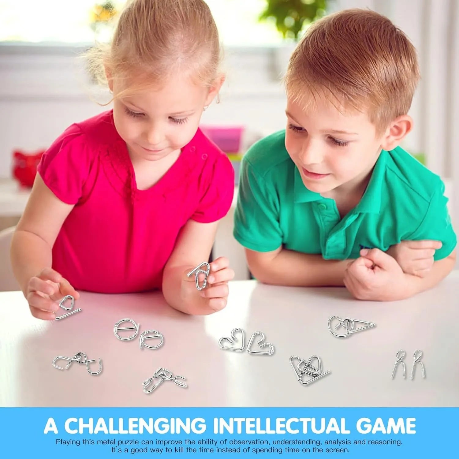 Metal Montessori Puzzle