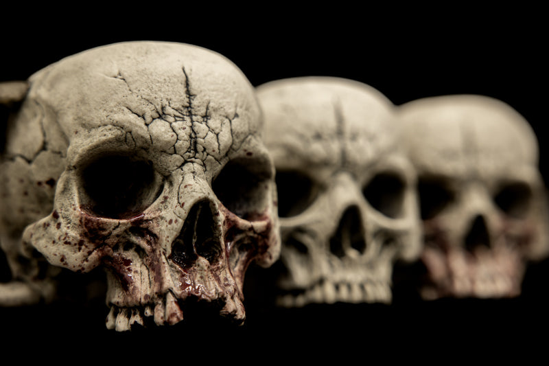 Skull Mug