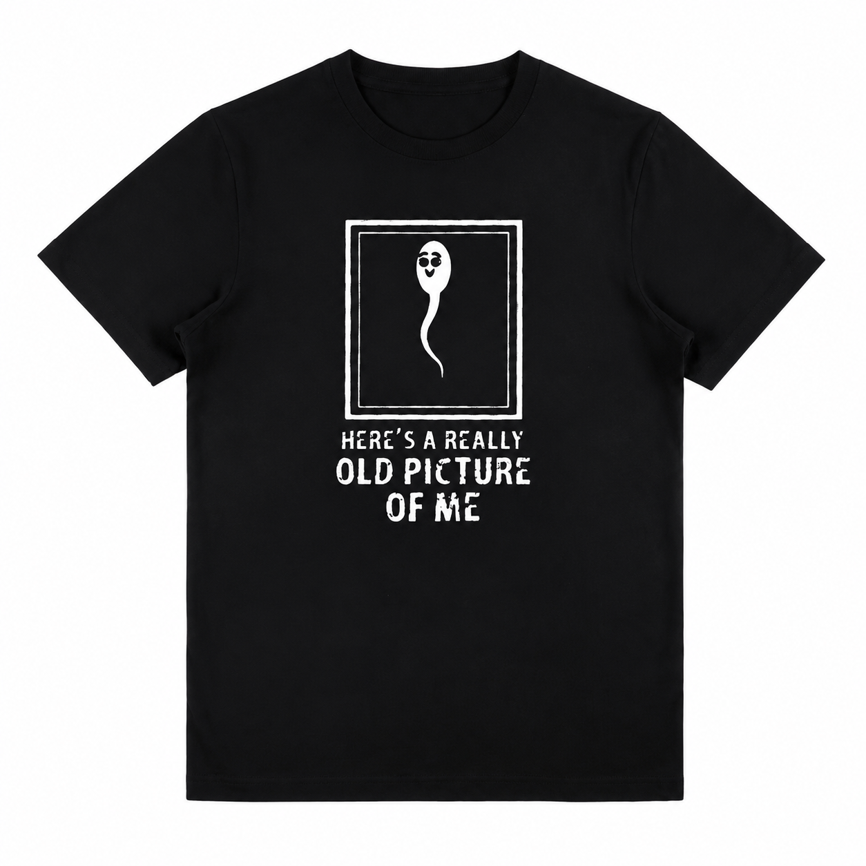 This Is a Very Old Picture of Me Meme Graphic Tee – Ironic Funny Streetwear T-Shirt for Men