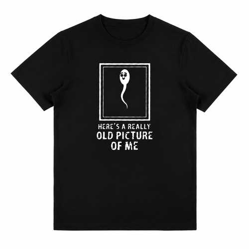 This Is a Very Old Picture of Me Meme Graphic Tee – Ironic Funny Streetwear T-Shirt for Men