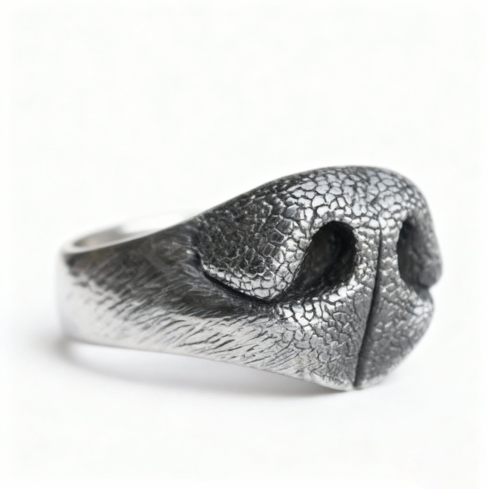 The Paws & Style Dog Nose Ring